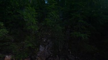Nehir vincinin alçak açısı huş ağacı ve yemyeşil çam ağaçları ile kayalık boyunca yükseldi. Kuzeydeki geniş ormanın yüksek açılı panoramik manzarası. Ambjorby, Varmland, İsveç