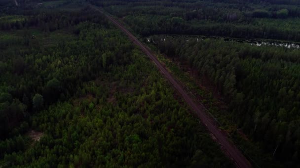 Вид Воздуха Лес Пруд Железнодорожный Путь Через Зеленый Сосновый Лес — стоковое видео