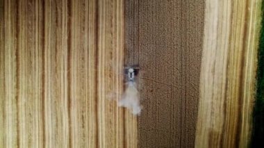 Top down view of a harvester machine working in wheat field. Birds eye view agricultural machine working in farmland during harvesting aerial view in summer. Sweden