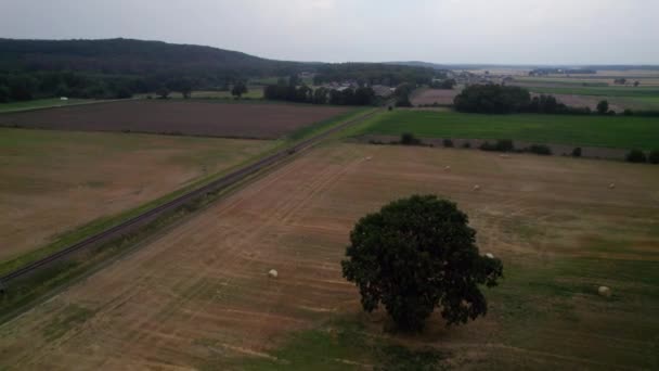 Çiftlik Arazileri Üzerinde Geniş Bir Hava Manzarası Bir Tren Yolu — Stok video