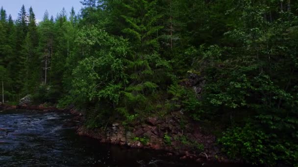 Bjergbæk Med Frisk Klart Vand Floden Flyder Brune Sten Grøn – Stock-video