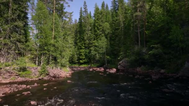 Låg Vinkel Utsikt Över Fjällbäcken Barrskog Klippig Flodstrand Med Rinnande — Stockvideo