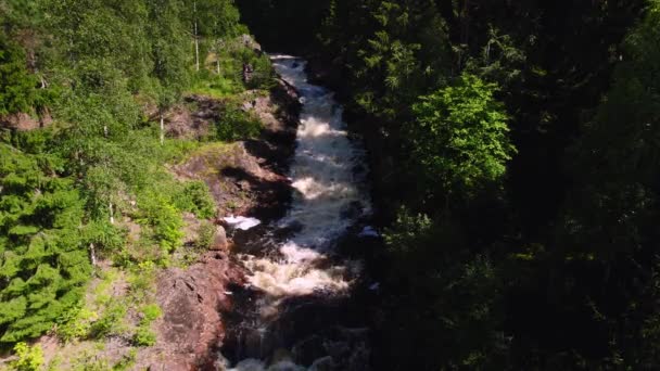 山の川の空中静的なショットは 太陽が川のベッドの上で さわやかな水は 通常の緑の木々の前を流れる輝いている 急流沿いには スウェーデンの荒野で夏休みを楽しんでいる無名の人々と展望台があります — ストック動画