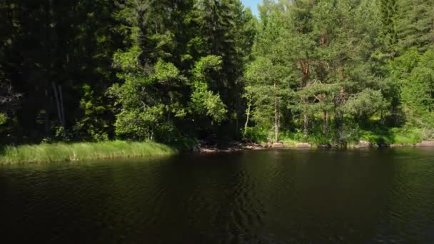 Slow Panning Forest Pond Mountain Stream Shadow Flows Pond Swedish — Wideo stockowe