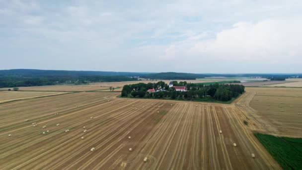 Aerial Dolly Shot Church Surrounded Woodland Gold Yellow Meadows Background — Vídeo de stock