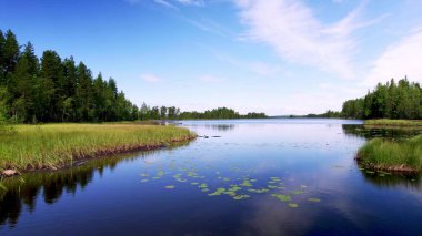 Low angle view: Blue Varsjon lake in the wilderness of Sweden. Evergreen pine forests and soggy grassland, water lilies and reflection of clouds blue sky in the montane forest lake. Stollet, Varmland Sweden