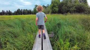 Güzel küçük sarı kıvırcık saçlı çocuk uzun otların arasında tahta patikada yürüyor. Çocuk ormanı yazın doğa yürüyüşü yapar. Düşük açılı ağır çekim, beyaz çocuk tişört, şort ve yürüyüş botları giyiyor. Çocuk beş yaşında, dikiz aynasından yürüyüş konsepti..