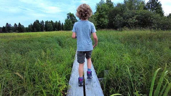 Beautiful little boy blond hair with curls walks on wooden footpath among the tall grass and forest in nature blue sky summer. Low angle, Caucasian toddler wearing shirt, shorts and hiking boots. Child 5 years old, rear view