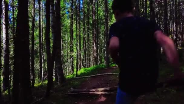 Happy Child Walks Forest Path Jumps Tree Trunk Back View — Video