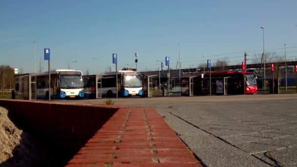 Λεωφορεία Περιμένουν Στη Στάση Για Βόλτα Τους Τους Ανθρώπους Για — Αρχείο Βίντεο