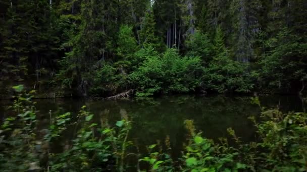 Senderismo Verano Largo Lago Forestal Desierto Sueco Reflejo Los Árboles — Vídeos de Stock