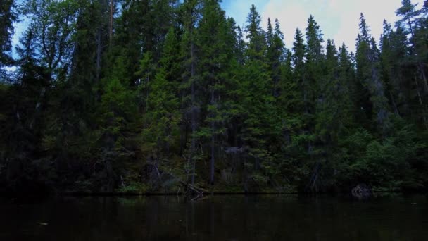 Pequeño Lago Forestal Luz Del Día Verano Naturaleza Salvaje Sueca — Vídeo de stock