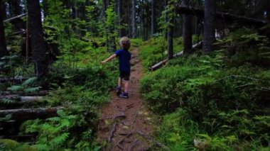 Sarışın, kıvırcık saçlı küçük güzel çocuk yazın doğayı keşfeder. Çocuk ormanda ağır çekimde yürür. Arkadan bakar, beyaz çocuk beş yaşında. Tişört, şort ve yürüyüş botları giyiyor.