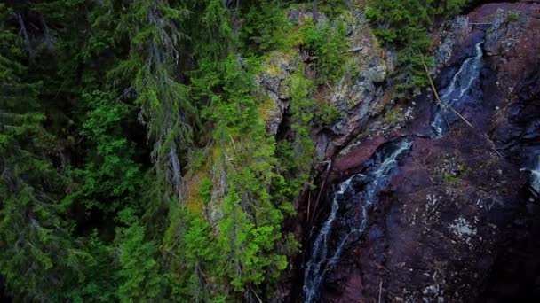 Zdjęcia Panoramiczne Widok Kaskady Wodospadu Styggforsen Lokalizacja Turystyczna Rezerwacie Przyrody — Wideo stockowe