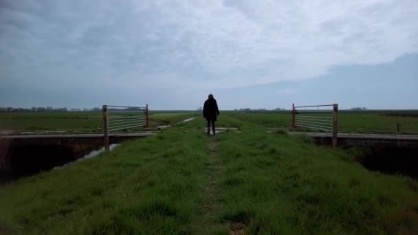 Slow Motion Back View Walking Person Alone Grass Trail Surrounded — Stock Video