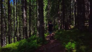 Sekiz yaşında bir çocuk çam ağaçlarının gölgesinde orman yolunda yürüyor. İsveç 'in vahşi ormanlarında yaz tatilinde çocuk macerası, düşük açılı dikiz açısı