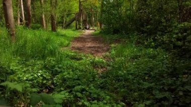 Mutlu beş yaşındakiler halatla kayıyor. Çocuklar için açık hava aktivitesi. Doğa oyun alanı konseptinde iyi eğlenceler. Düşük açı, bir ağaç gövdesinin arkasından çekim yapıyor, kamera yavaş çekim yapıyor.