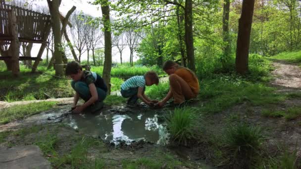 子供たちは晴れた春の日に公園の自然遊び場で水たまりで遊んでいます 子供たちは泥の水たまりにぬれた泥のダムを完全に作る キッズ屋外コンセプト 低角度表示静的ショット — ストック動画