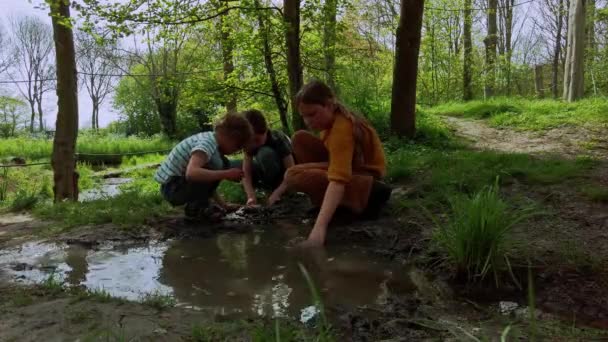 Jonge Kinderen Spelen Een Plas Natuurspeeltuin Het Park Een Zonnige — Stockvideo