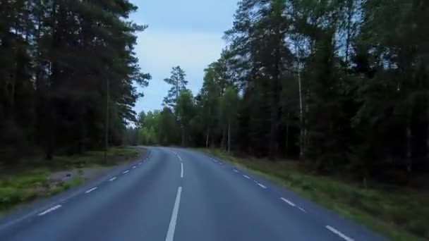 Pov Kör Slingrande Landsväg Kantad Vackra Gröna Lövträd Och Barrskogar — Stockvideo