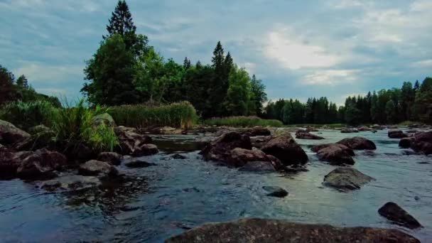 Piękna Romantyczna Rzeka Otoczona Trzcinami Las Drzew Liściastych Sosnowych Głazy — Wideo stockowe