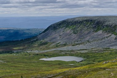 Görkemli Molnet Nipfjallet dağı. Yeşil bir vadide gri sarp kayalık bir uçurum. Ve İsveç doğasında bir göl..
