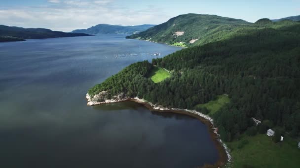 Norveç Teki Tingvollfjorden Dağlık Orman Kıyı Şeridinde Kıyı Suları Için — Stok video