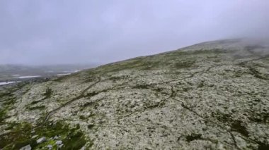 Dağ yamacında uçan hava görüntüleri bir gölü ortaya çıkarıyor ve sisin içinde kayboluyor. Norveç tundra bölgesinde liken ve ren geyiği yosunları (Cladonia rangiferina) ile kaplanmış puslu sisli bir arazi..