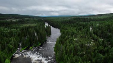 İnsansız hava aracı, İskandinav doğasının arka planında sonsuz yeşil ağaç tepelerini, engin ormanları, dağları ve bulutlu gökyüzünü gören manzaralı bir nehirden yükseliyor.
