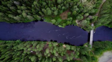 Nehir manzaralı ve İsveç 'te ağaç tepeli. Kaydırıcı akıntının yukarısında etrafı kozalaklı ağaçlar, köprüler ve deniz kenarında parkı olan bir yol ile çevrili. Yolculuk konsepti İskandinavya.