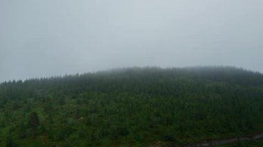 Dağların tepesindeki karamsar çam ormanının sisle kaplı havadan görünüşü. Norveç 'te bulutlu, sisli, yağmurlu bir yaz sabahı, kameranın objektifindeki yağmur damlaları...