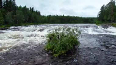 Düşük açılı hava yörüngesi çekimi, sonsuz yeşil ağaçlar boyunca vahşi dağ nehri, İsveç 'in vahşi ormanlarında kayaların üzerinden akan akıntılar, bulutlu yaz gününde doğa yolculuğu konsepti.