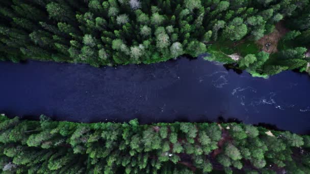 Dron Statyczny Widok Góry Dół Nad Spokojnie Płynącą Rzeką Gęstym — Wideo stockowe