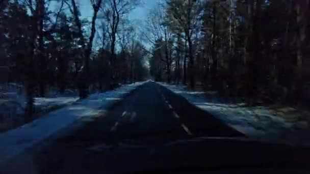Hyperlapse Auto Pohled Holandské Venkovské Lesní Cesty Sněhem Podél Silnic — Stock video