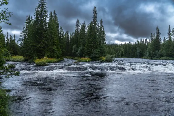 Malerischer Fluss Dichtem Wald Der Morgendämmerung Fließender Bach Ufer Mit — Stockfoto
