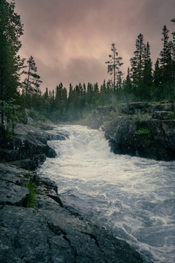 Twilight Above the Rapids in Nordic Nature Forest. Dusk descends on tumultuous waterfall cutting through a foggy woodlands in Dalarna, Sweden. clipart