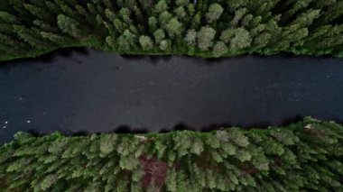 İnsansız hava aracı tepeden aşağı, ormanı ikiye bölen sakin akan Storan orman nehrinin üzerine iniyor. İsveç 'in İdre Dalarna kentindeki çam ağaçlarından ve huş ağaçlarından oluşan yemyeşil bir gölgelik var..