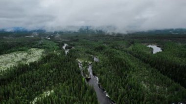 İnsansız hava aracı sonsuza dek yeşil ormanın üzerinden geri uçuyor ve Idre, Dalarna, İsveç 'teki Sognstupet akıntısı ile Storan nehrinde stratocumulus ve stratosulus bulutlarının altında dönüyor..