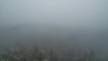 Dalarna 'nın İsveç dağlarındaki yoğun, sisle kaplı bir tayga ormanının üzerinden geriye doğru uçan insansız hava aracı sabahları sisli çam ağaçlarını gözler önüne seriyor.