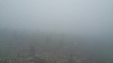 İHA, Idre Dalarna 'nın İsveç dağlarındaki yoğun, sisle kaplı bir tayga ormanının üzerinde uçuyor. Sabahları sisli çam ağaçlarının görünümü siste kayboluyor.