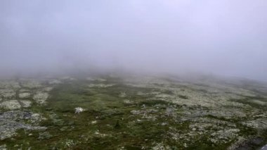 Norveç 'teki Rondane Ulusal Parkı' nda bulutların arasında kaybolan Sis Arasından Yükselen. Bir dron bir yolun üzerinde yükselir ve tundra manzarası, sis bulutlarının içinde kaybolur.