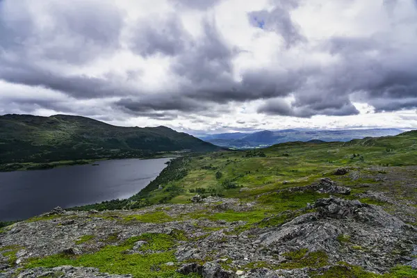 stock image A panoramic view from a rocky hilltop overlooking a long, narrow lake in Norway. Lush green hills and valleys surround the lake, with a cloudy sky above