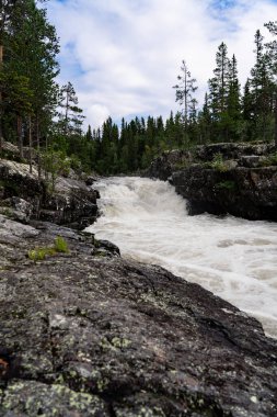 Sognstupet Şelalesi, Idre 'deki yemyeşil ağaçlarla çevrili kayalık arazi üzerinde dramatik bir şekilde şelaleler, doğanın ham gücü ve güzelliği Dalarna İsveç ormanlarındaki Storan Nehri boyunca uzanır..