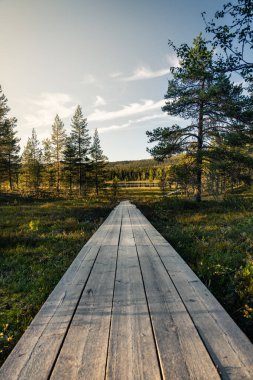 A peaceful wooden path stretches through a lush forest leading to a lake, illuminated by the warm golden hour light in Idre, Dalarna, Sweden. Nature welcomes summer strolls clipart