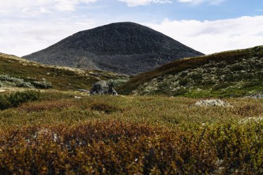 Mount Muen peak towers in the background in Rondane National Park in Norway, surrounded by diverse vegetation like heather and reindeer lichen in the rugged wilderness clipart