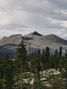 Rondane Ulusal Parkı 'ndaki yemyeşil ormanlarla çevrili Majestic Rondeslottet Dağı arka planda yükseliyor ve İskandinav doğal manzarasının çarpıcı güzelliğini gözler önüne seriyor.