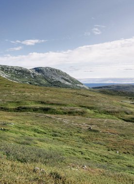 İsveç 'in Idre Dalarna kentindeki Molnet Nipfjallet Dağı' nda canlı yeşil tundra manzarası, pek çok yürüyüş patikası olan İskandinav kırsalının sakin yaz güzelliğinin tadını çıkarıyor.