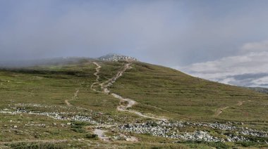 Turistler yaz boyunca İsveç 'in Dalarna kentindeki yemyeşil tundra manzarasıyla çevrili Nipfjallet Dağı' ndaki Lillnipen zirvesine doğru kolay bir yürüyüş yapıyorlar.