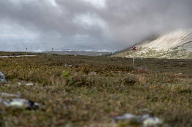 İsveç 'in Idre Dalarna şehrinde bulutlar manzarayı kaplar ve bereketli tundra bitki örtüsüne dağılmış kırmızı haç işaretlerini ortaya çıkarır. Atmosfer sakin ve sakin. Düşük açı görünümü
