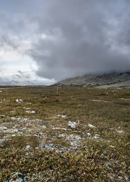 İsveç 'in Idre Dalarna kentindeki Stdjan Nipfjllet doğa rezervinin sakin güzelliğini keşfediyorum. Geniş doğal manzaraların bulutlu gökyüzünün altında dramatik dağ manzaralarıyla buluştuğu yer..